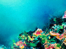 Load image into Gallery viewer, Coral Luminescence