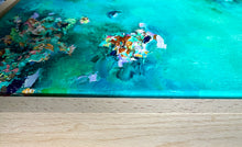 Load image into Gallery viewer, Coral Constellations No. 8 | Framed in Beech timber