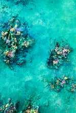 Load image into Gallery viewer, Rockpools at Rickett’s Point