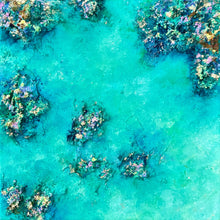 Load image into Gallery viewer, Rockpools at Rickett’s Point