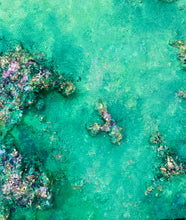 Load image into Gallery viewer, Rockpools at Rickett’s Point No.2