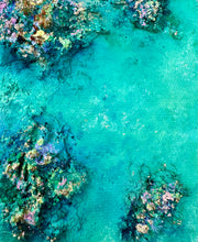 Load image into Gallery viewer, Rockpools at Rickett’s Point