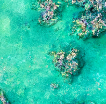 Load image into Gallery viewer, Rockpools at Rickett’s Point No.2