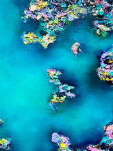 Load image into Gallery viewer, Coral Constellations No. 4