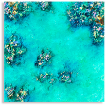 Load image into Gallery viewer, Rockpools at Rickett’s Point