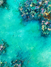 Load image into Gallery viewer, Rockpools at Rickett’s Point