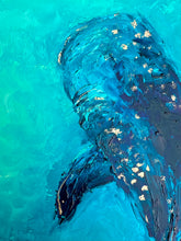 Load image into Gallery viewer, Gentle Giant of the Sea