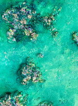 Load image into Gallery viewer, Rockpools at Rickett’s Point No.2