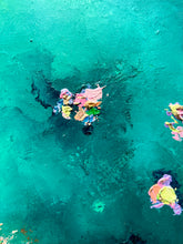 Load image into Gallery viewer, Coral Constellations No. 3