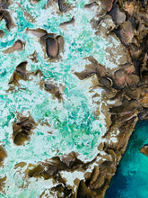 Load image into Gallery viewer, North Curl Curl No. 2