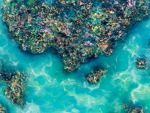 Tidal Jewels