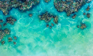 Tidal Jewels