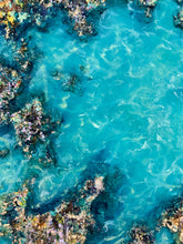 Load image into Gallery viewer, Rockpools at Rickett’s Point No.3 | Framed in Victorian Ash Timber
