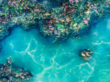 Load image into Gallery viewer, Tidal Jewels
