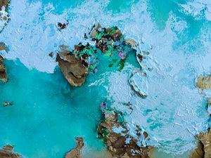 Bridgewater Bay Rockpools