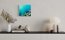 Load image into Gallery viewer, Coral Luminescence
